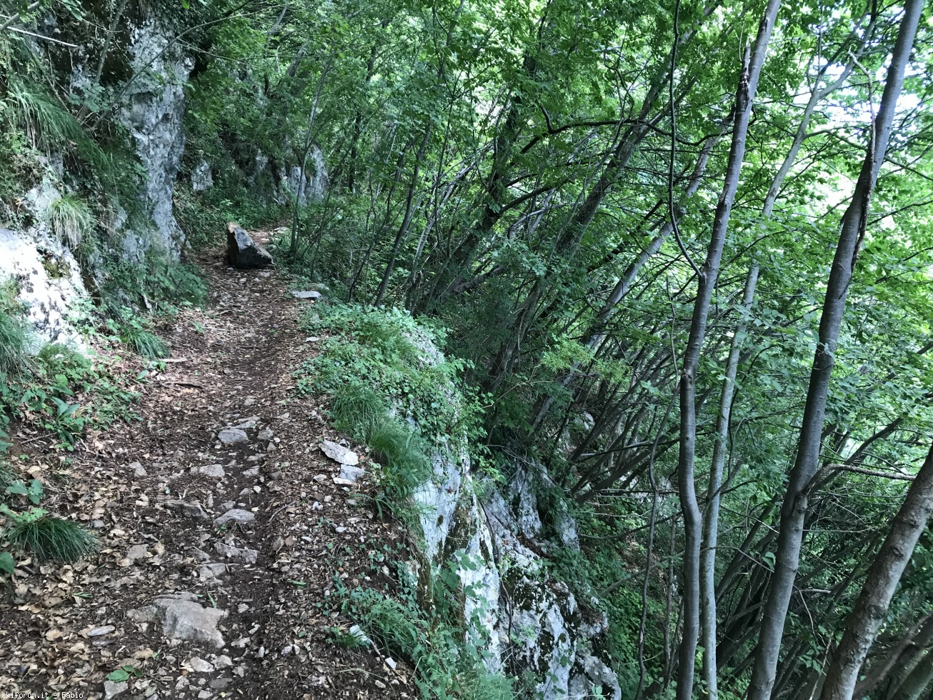 295907-sentinello-monte-civillina-img7647.jpg
