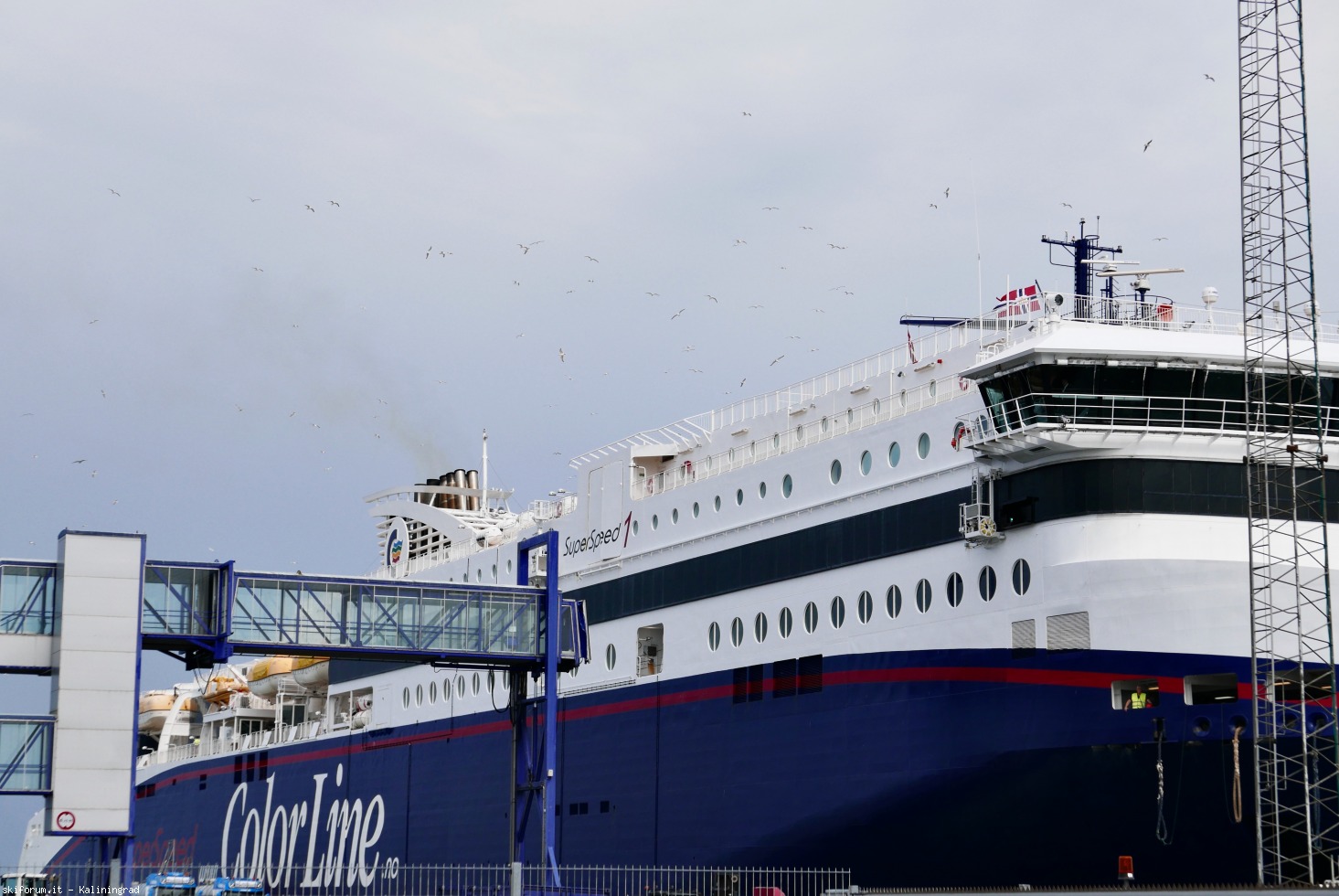 296536-hirtshals-2.jpeg
