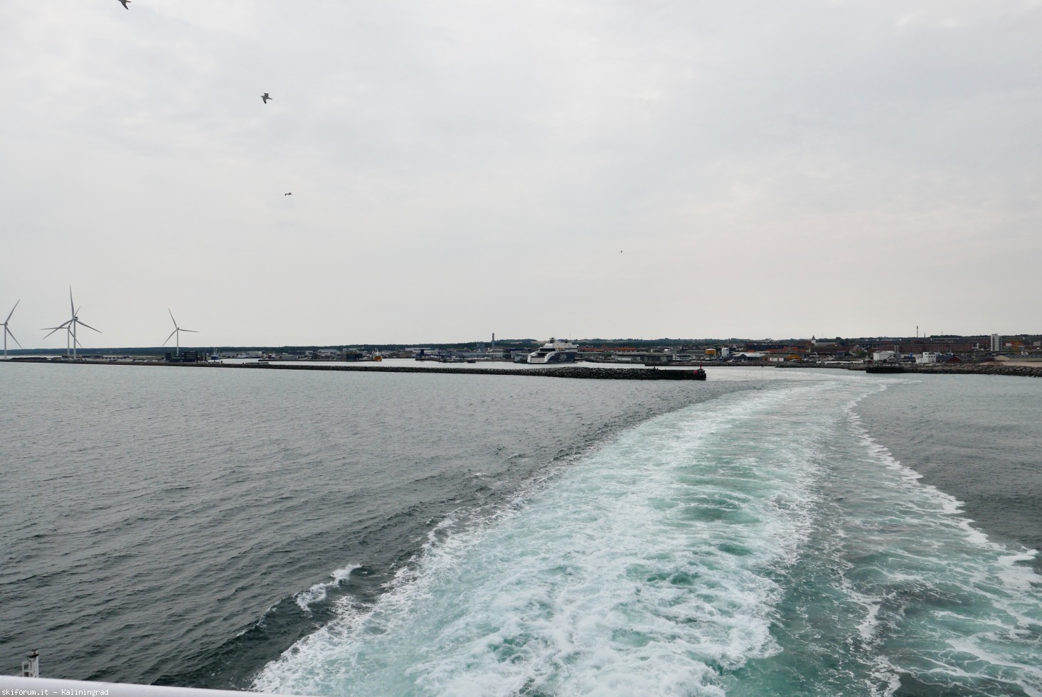 296542-hirtshals-8.jpeg