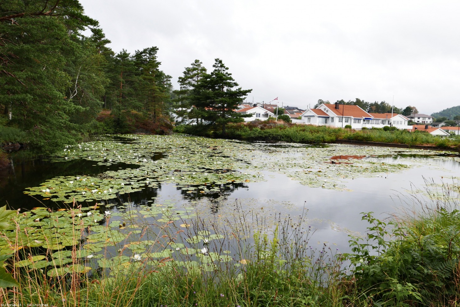 296562-lillesand-1.jpeg