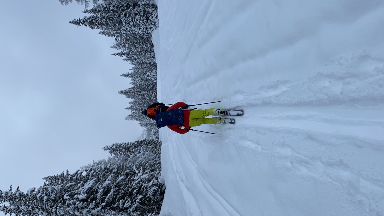 296610-f15624b1-83b3-4837-a9bf-92096055c189.jpg