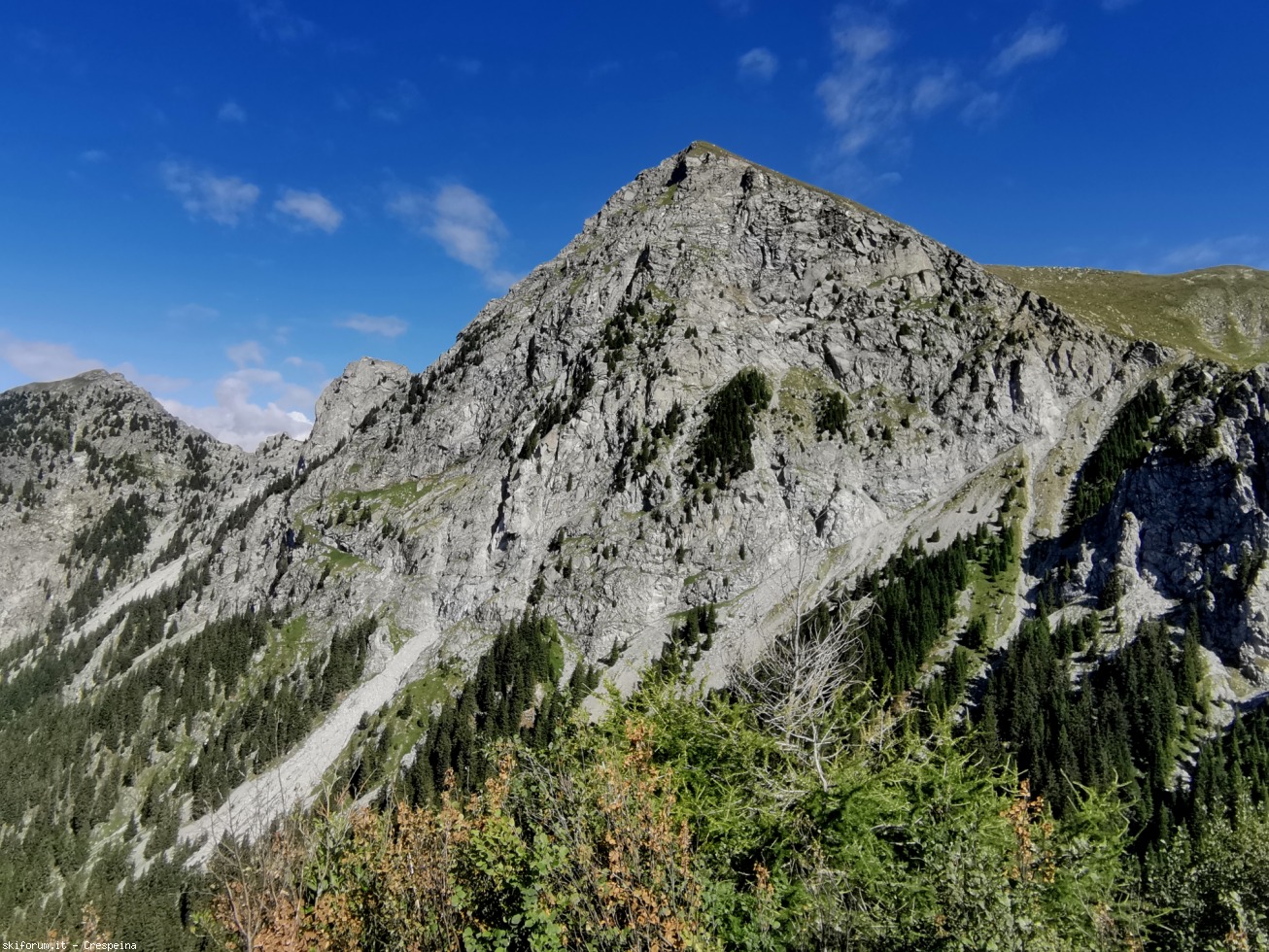 296744-img20210806102812.jpg