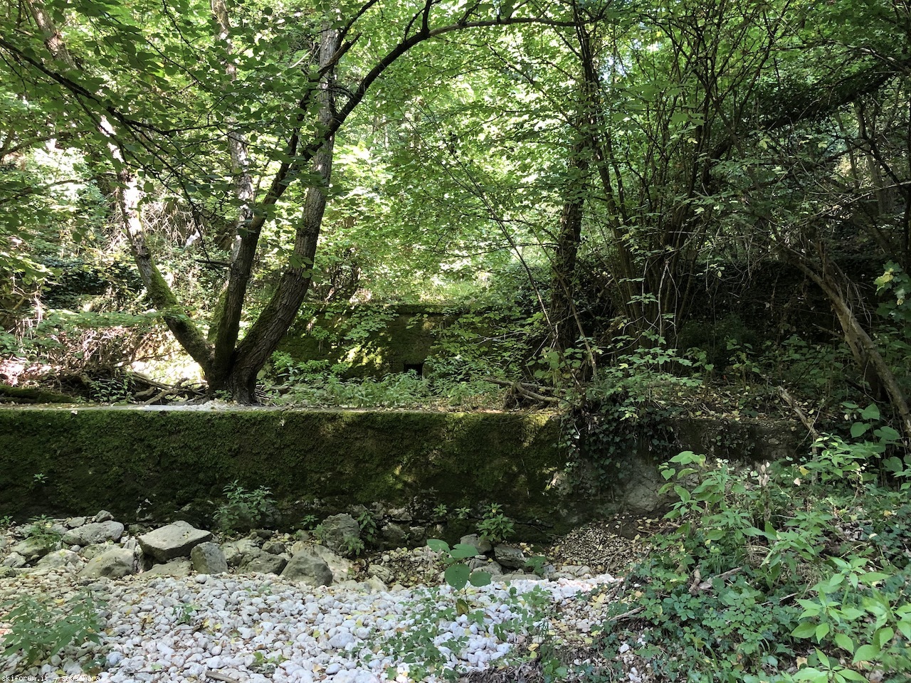297502-celano-img3900.jpg
