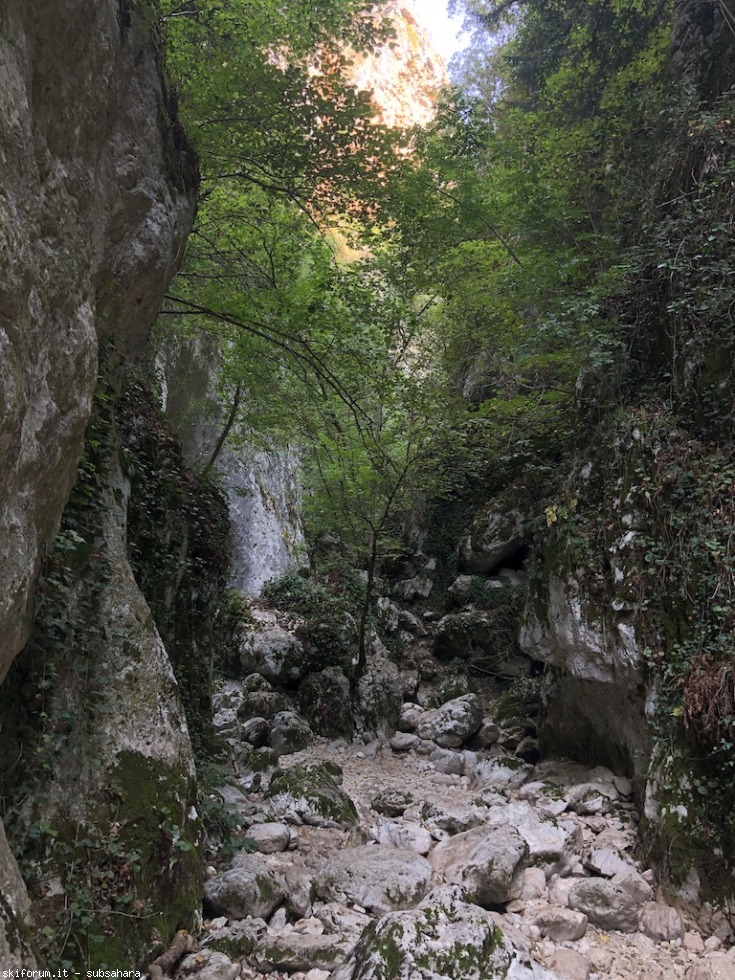 297508-celano-img3913.jpg