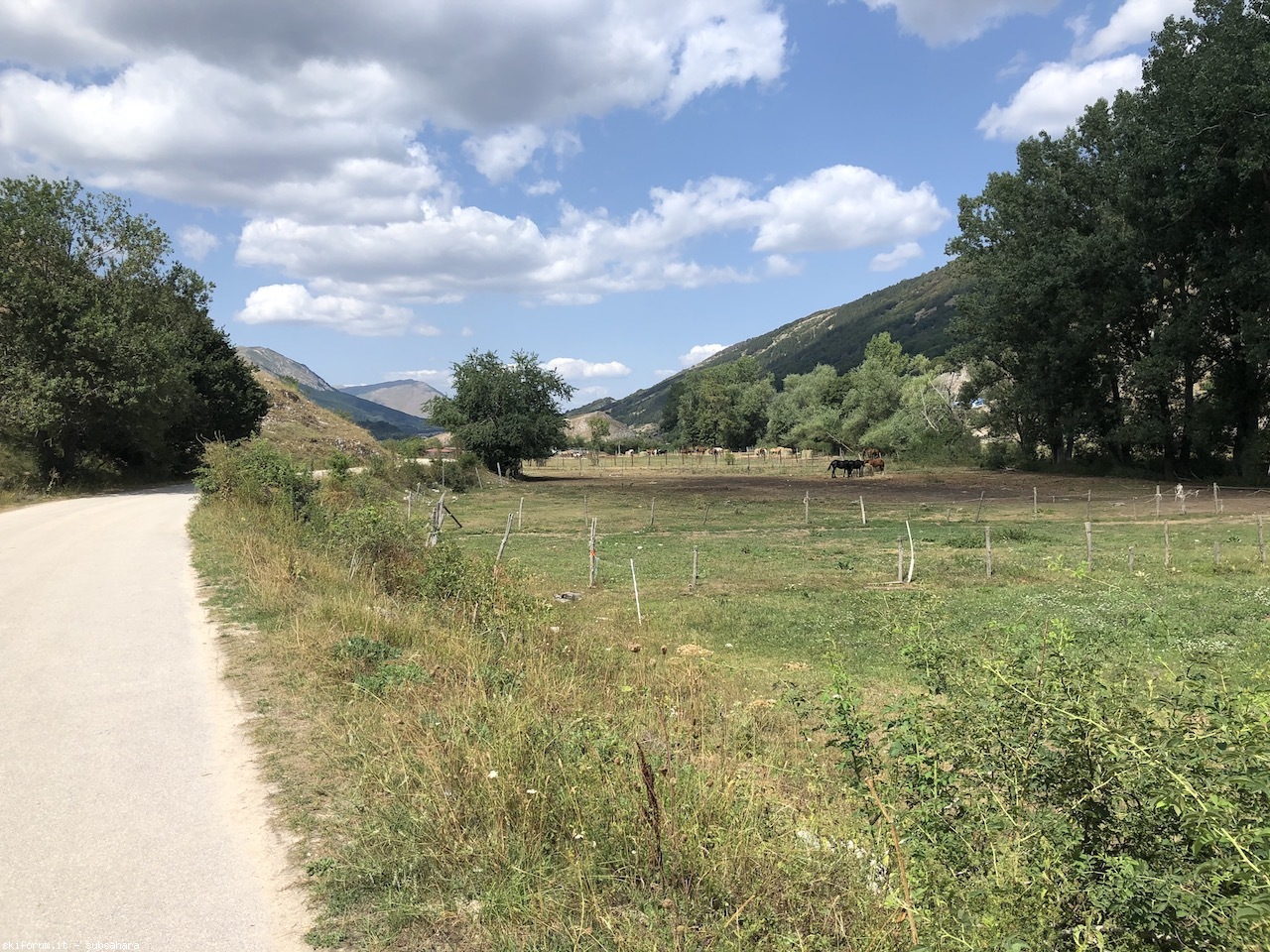 297534-celano-img3952.jpg