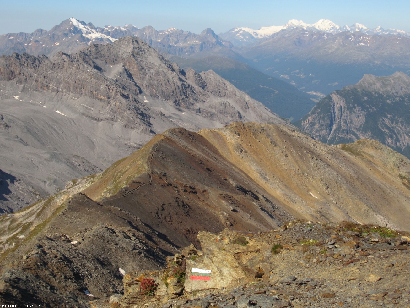297828-monte-scorluzzo-img4254.jpg