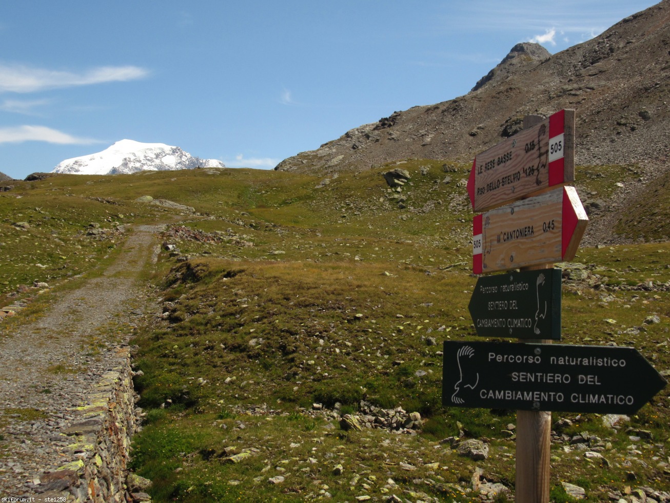 297846-monte-scorluzzo-img4357.jpg
