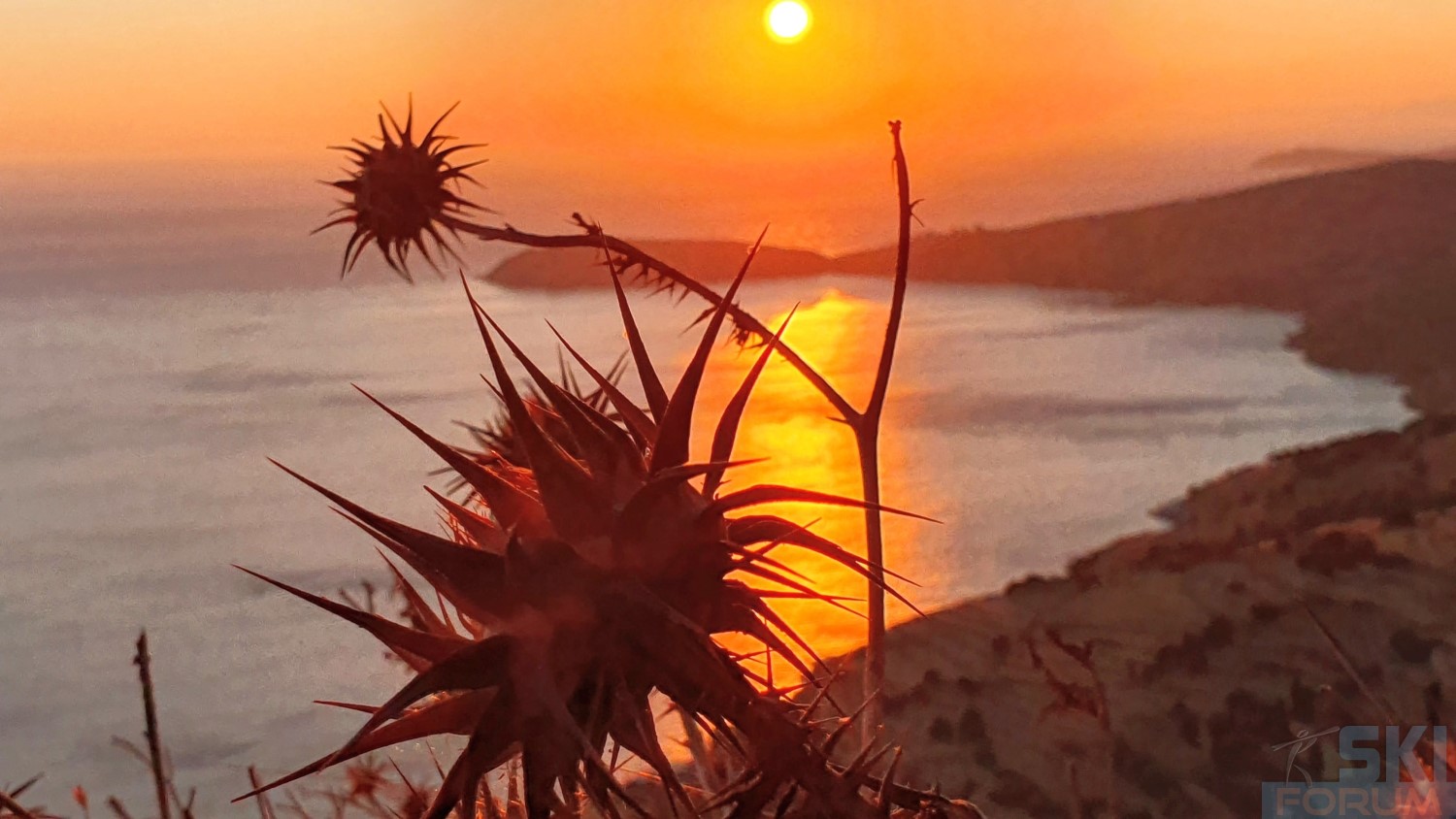 298142-from-rafina-to-andros-45.jpg