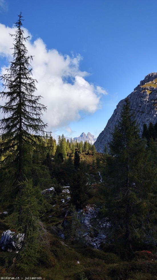298884-vandelli-img20210921105439328hdr.jpg