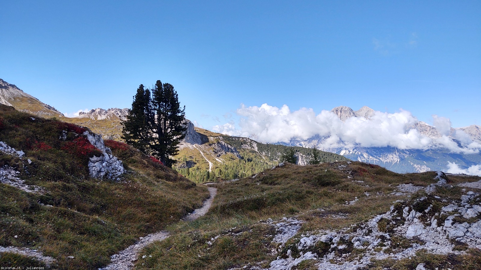 298885-vandelli-img20210921110747565hdr.jpg