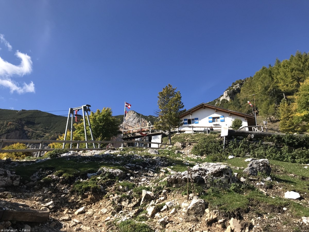 299402-corno-beccofiladonnan-06.jpg