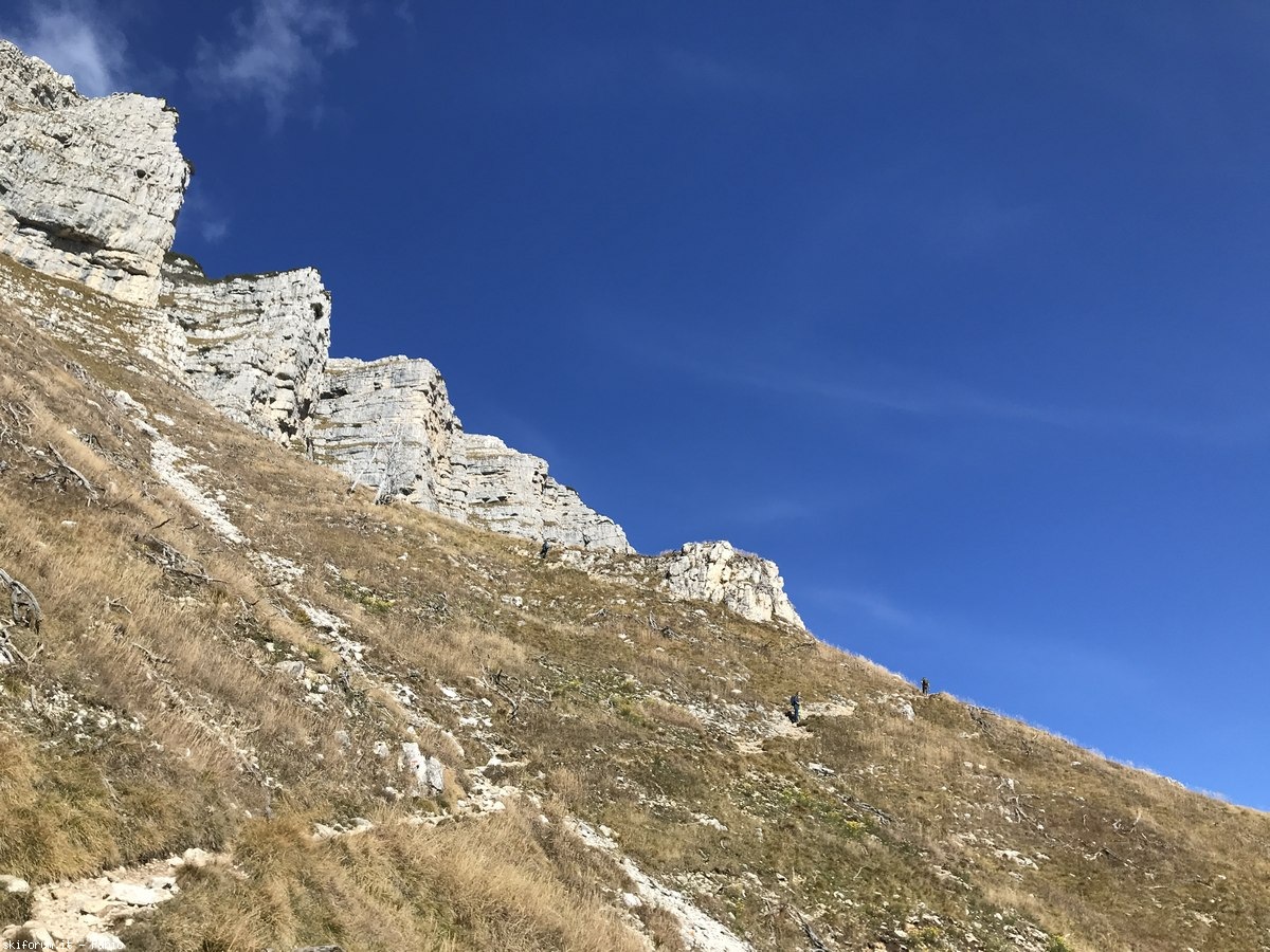 299406-corno-beccofiladonnan-10.jpg