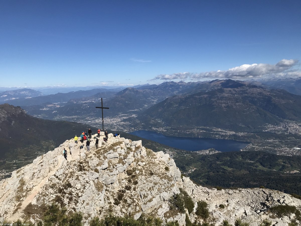 299416-corno-beccofiladonnan-21.jpg