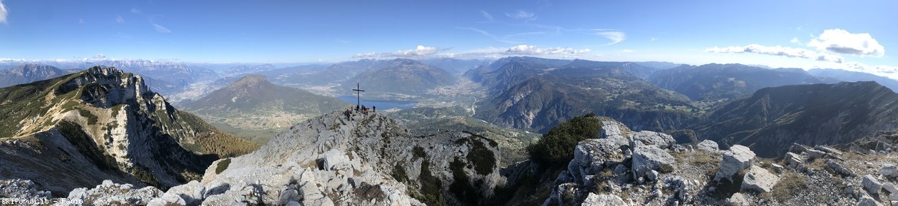 299419-corno-beccofiladonnan-24.jpg