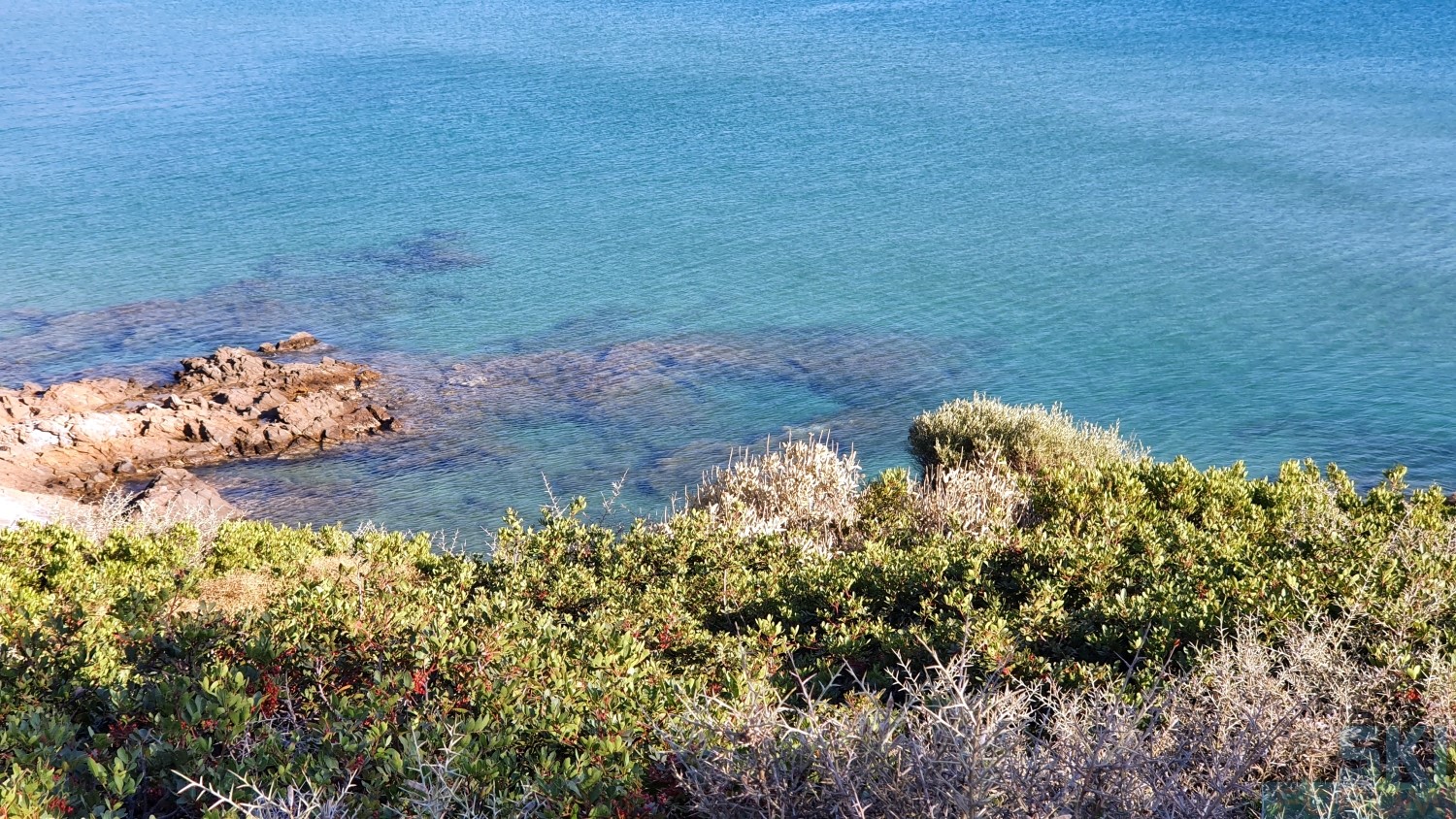 299473-andros-beaches-6.jpg