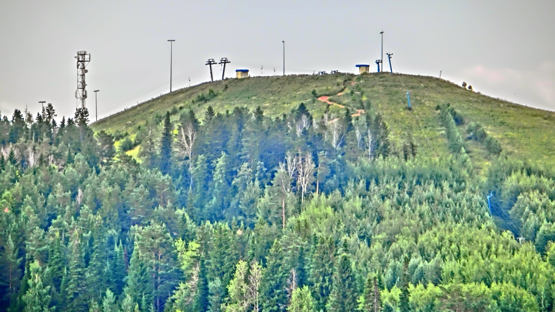 221889-cimj.jpg
