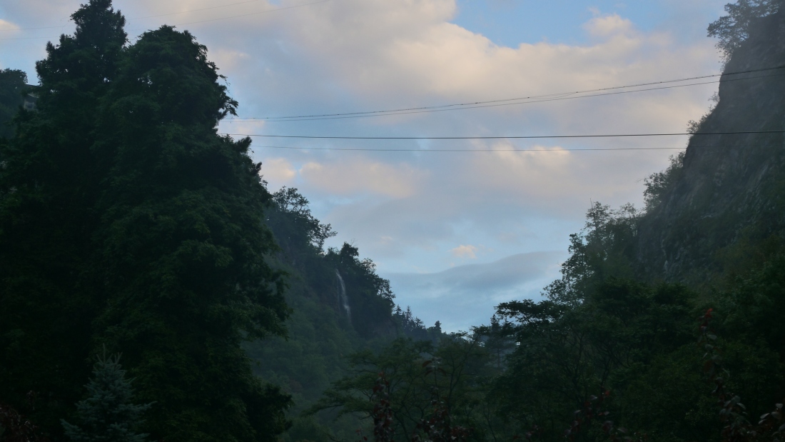 221893-p1420466.jpg