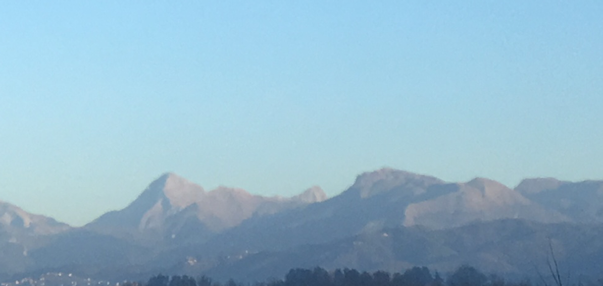 231252-stamattina.png