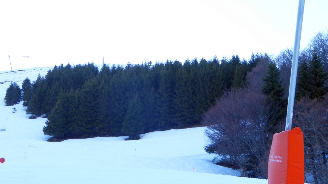 237164-il-wlf.jpg