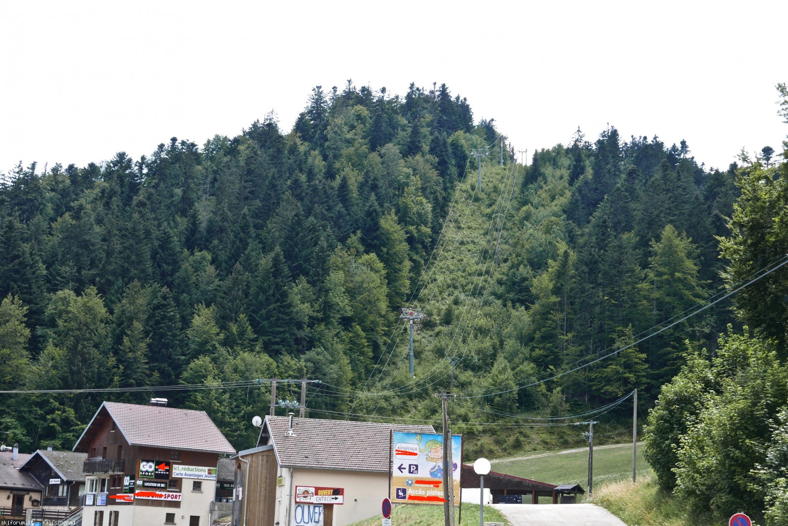 218631-l1010538.jpg