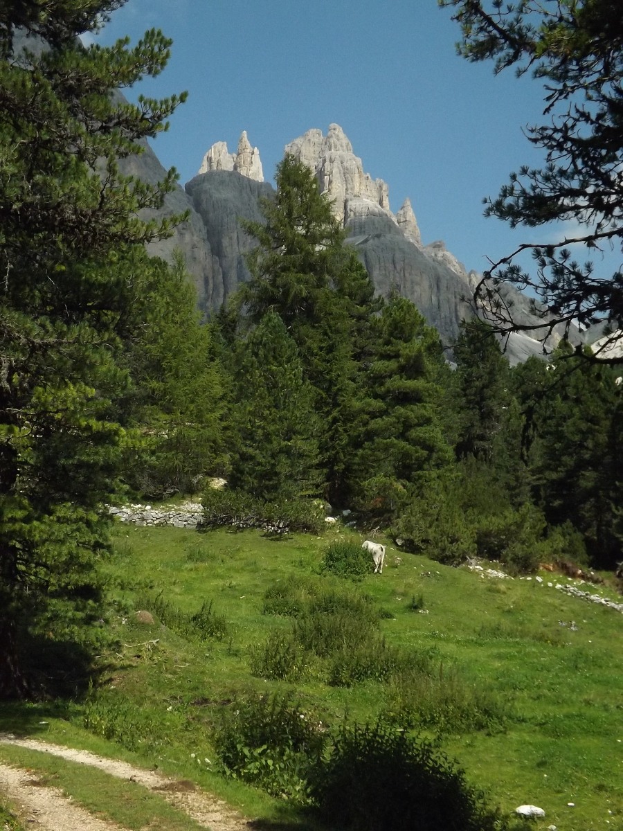 219118-trieste-e-val-di-fassa-estate-2018-197.jpg