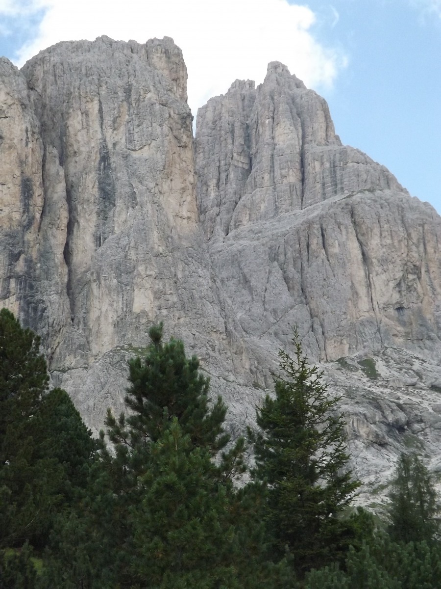 219127-trieste-e-val-di-fassa-estate-2018-215.jpg