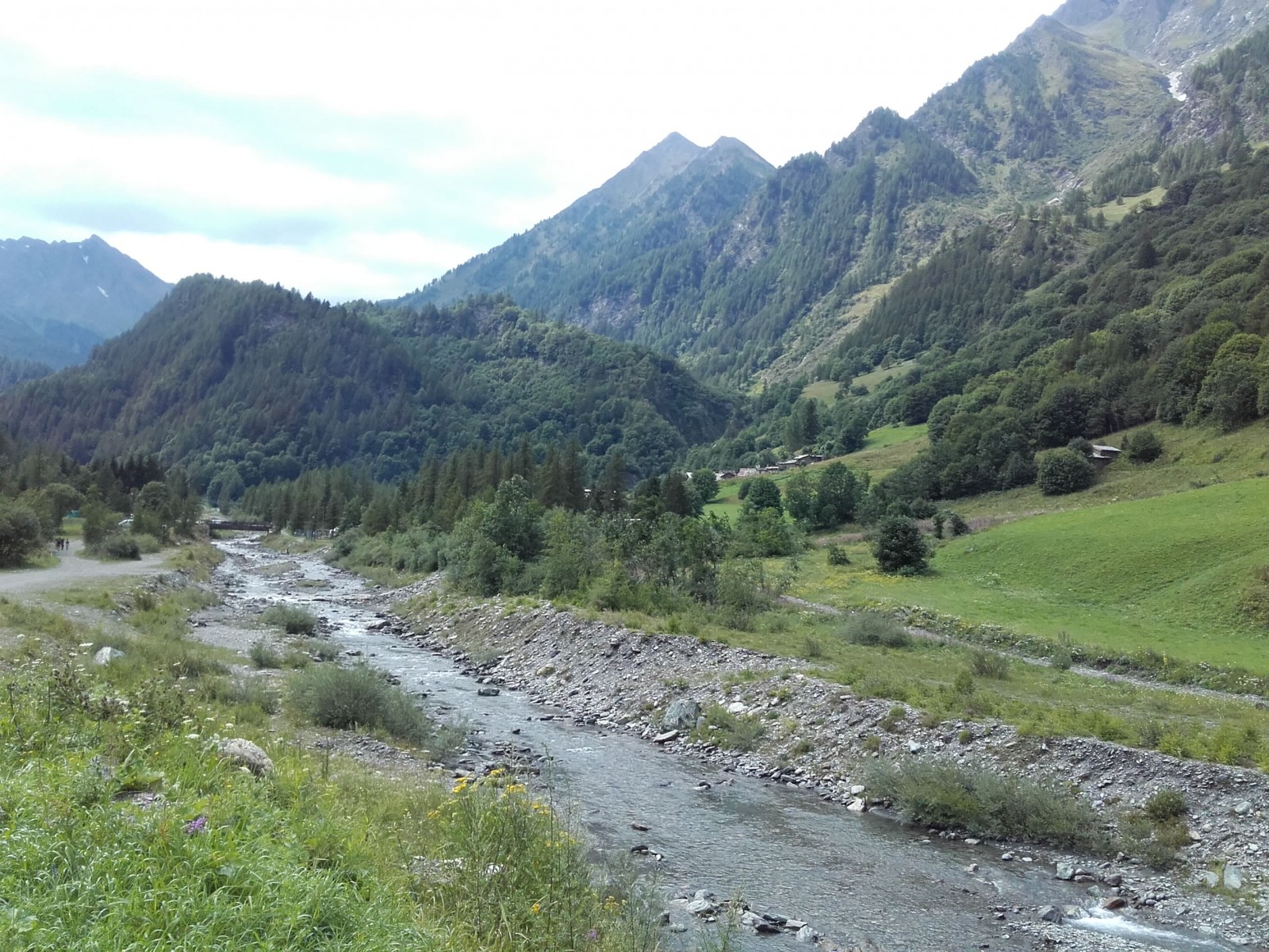 219591-img-20180818-wa0006.jpeg