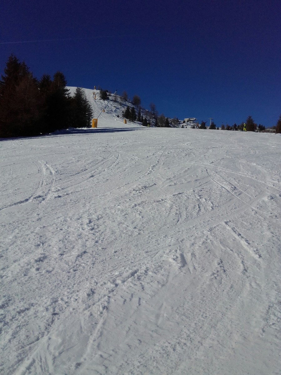 228518-20181207125537-1.jpg