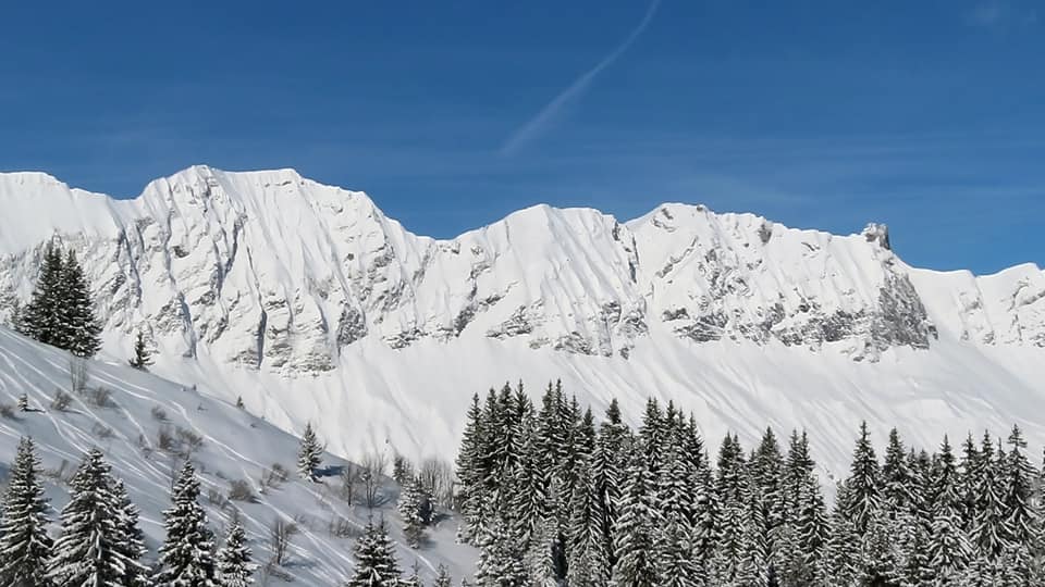 232718-bbdd1149-b2c4-4f0a-9954-f5ea2c6687da.jpeg