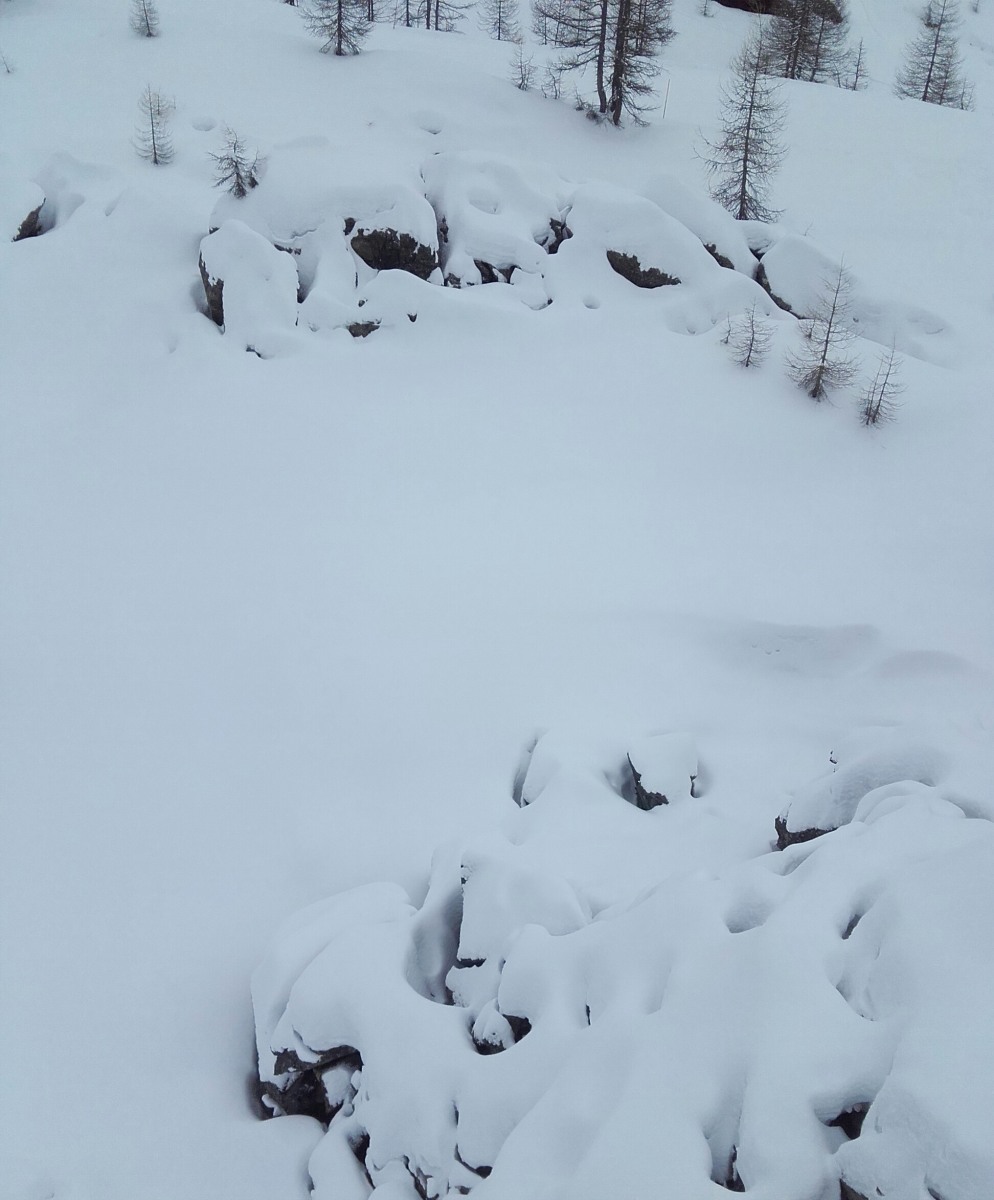 233865-20190203153114-1.jpg