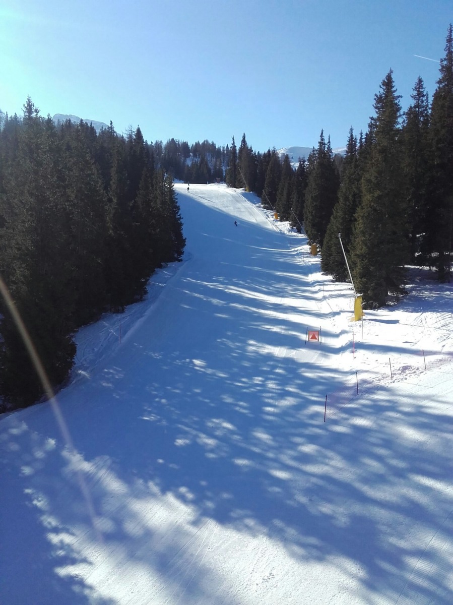 236785-img-20190301-wa0013-1.jpg