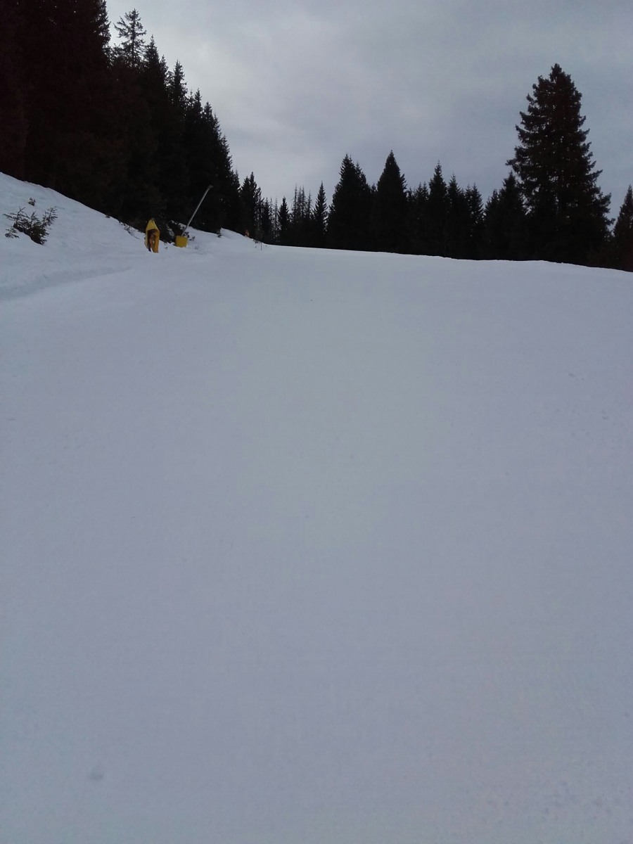 236804-img-20190301-wa0038-1.jpg