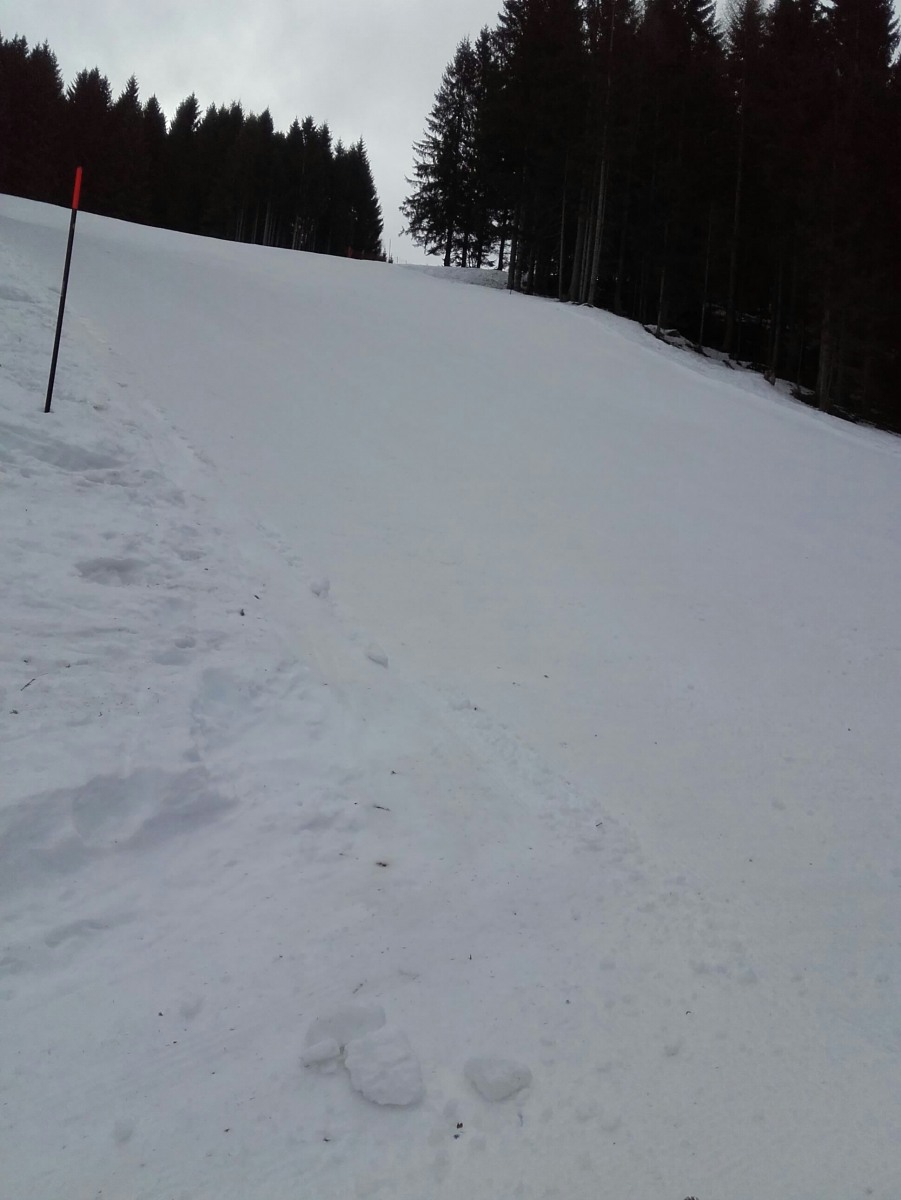 236811-img-20190301-wa0047-1.jpg