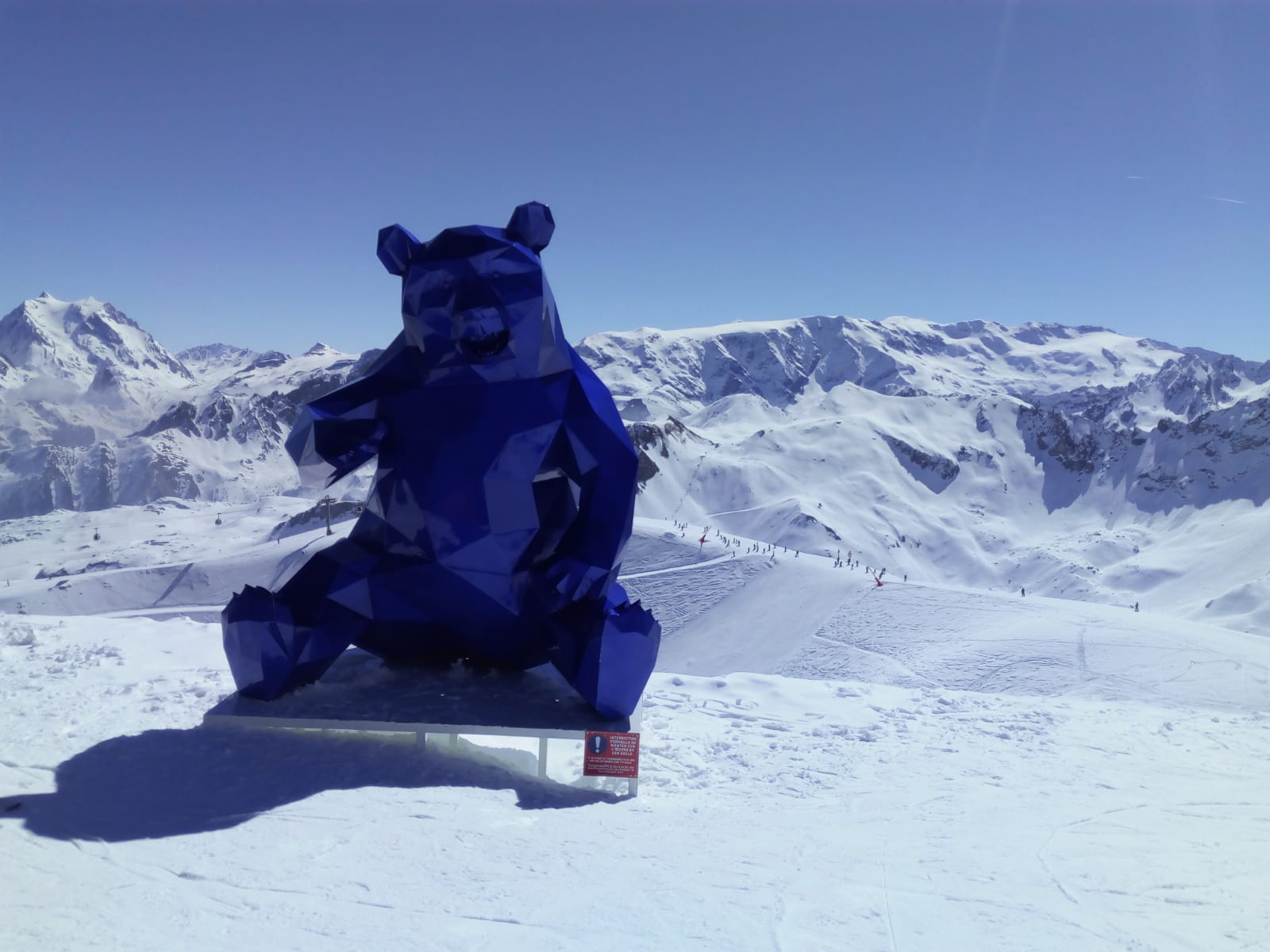 242126-orso.jpg