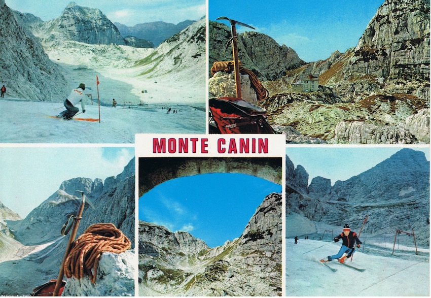 244536-canin.jpg