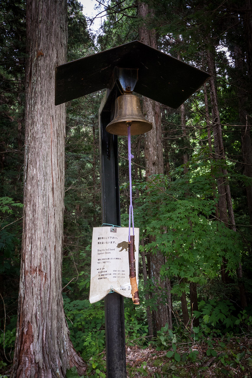 247914-img3725.jpg
