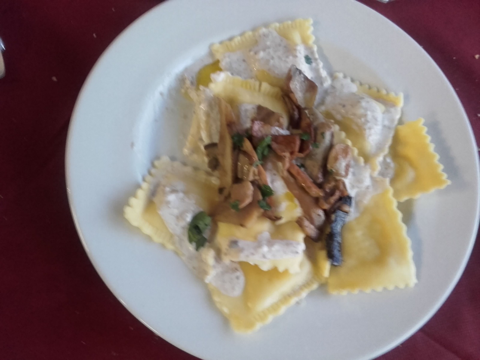 248763-img-20190814-wa0013.jpeg