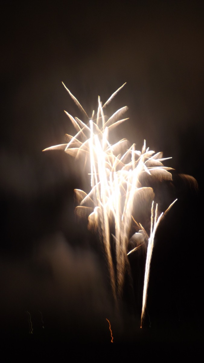 248783-fino-a-ferragosto-2019-088.jpg