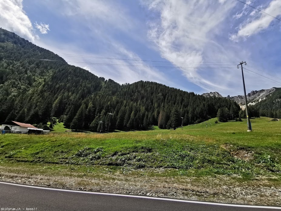 275592-ddc.jpg