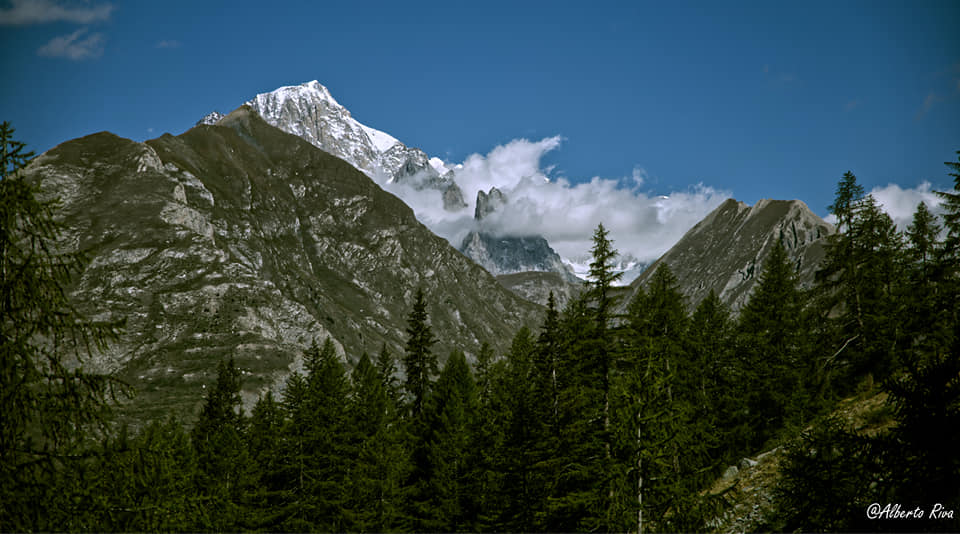 276981-panorama-sul-bianco.jpg