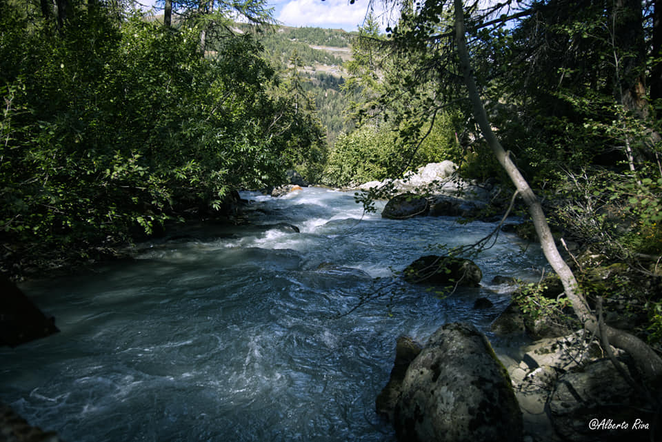 276982-torrente-rutor.jpg