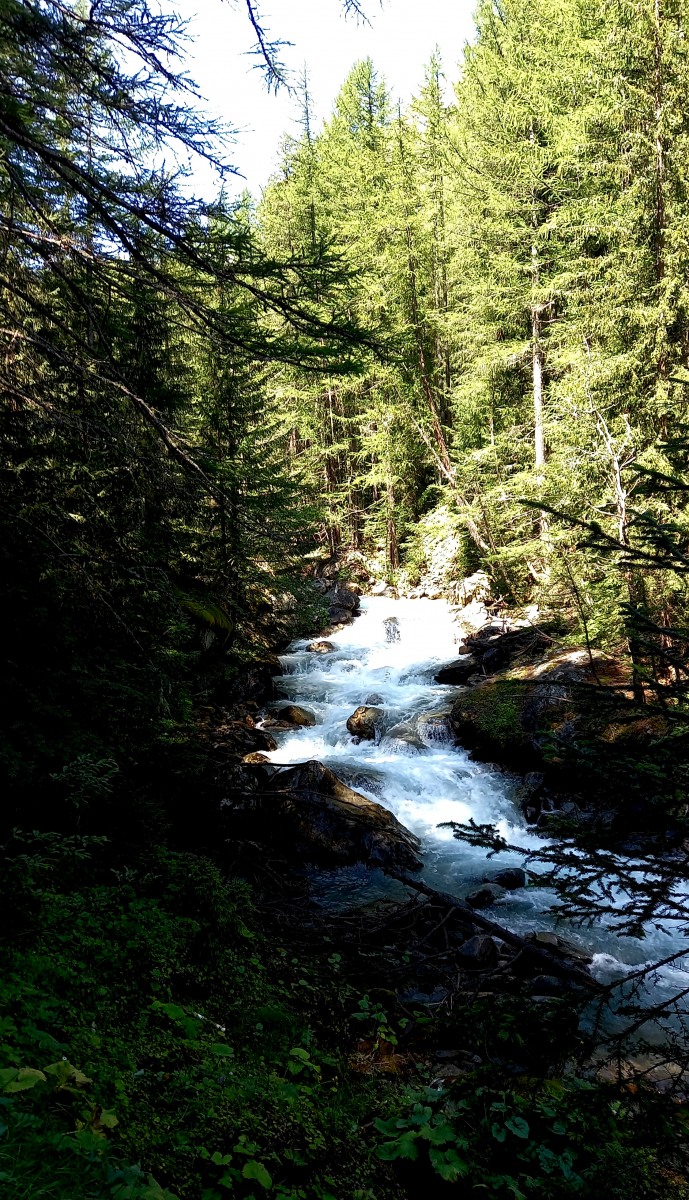 296790-img-20210808-wa0012.jpeg