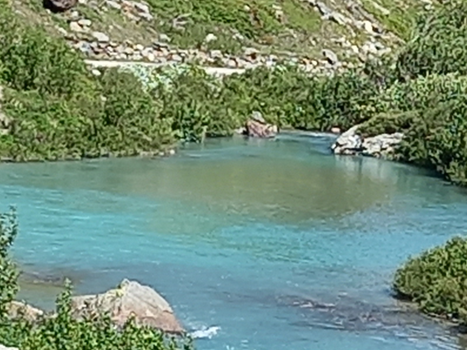 296821-20210808150054.jpg