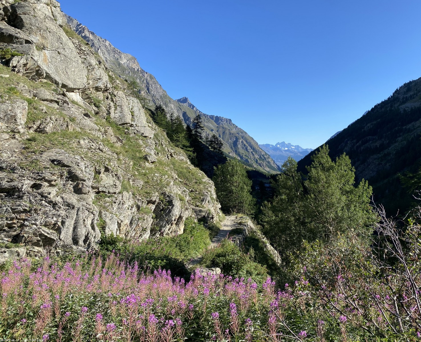 297287-rep06passaggioincrestaimg8741.jpg