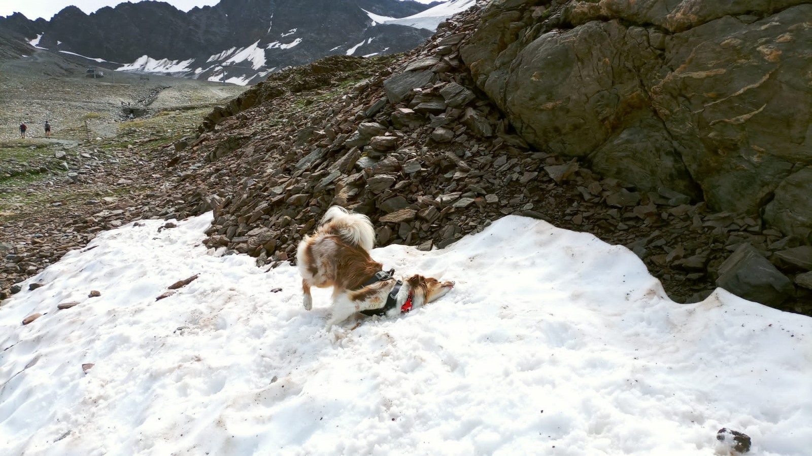 297794-img-20210821-wa0017.jpg