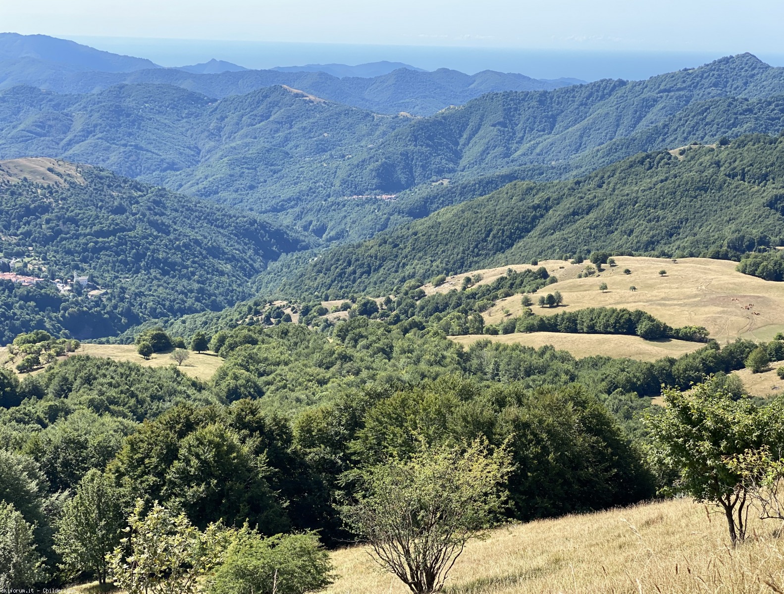 297867-a10panoramaversosudconmareimg8837.jpg