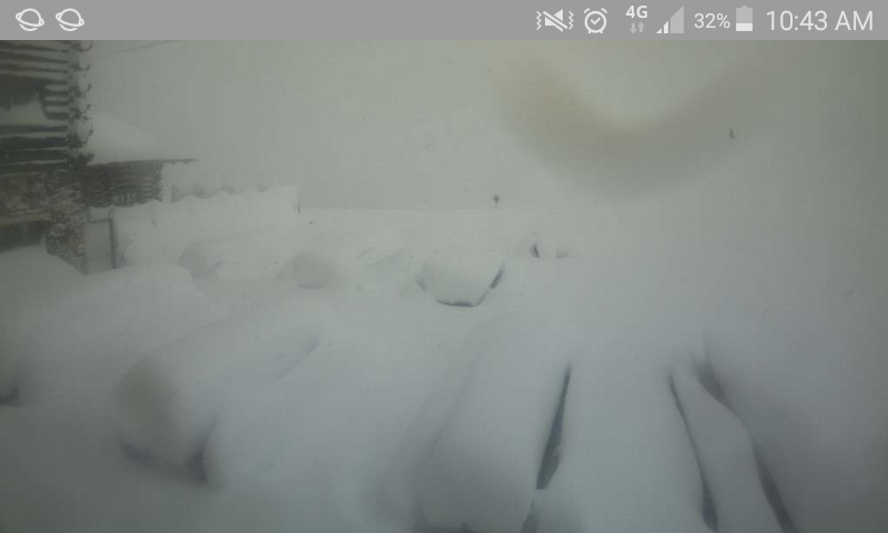 224989-screenshot2018-10-28-10-43-50.png