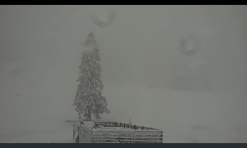 239714-screenshot2019-04-04-07-25-51.png