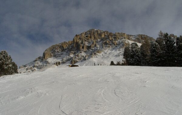 Oberholz