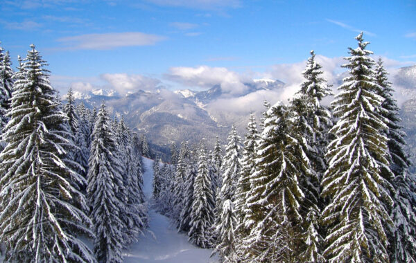 Tarvisio – Monte Lussari